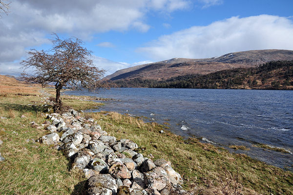 Loch Arkaig