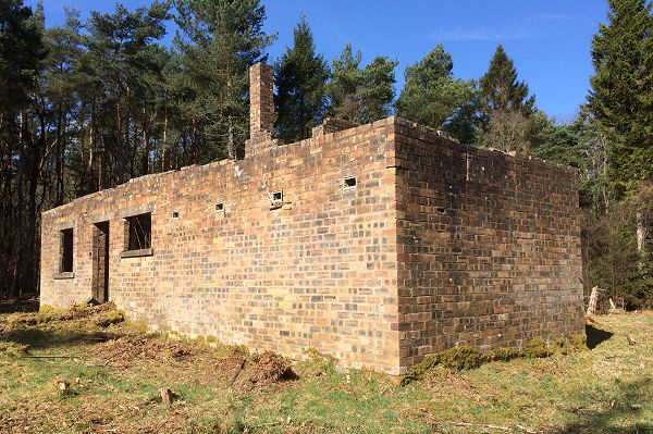 Remains of Polish Camp in Tentsmuir Forest